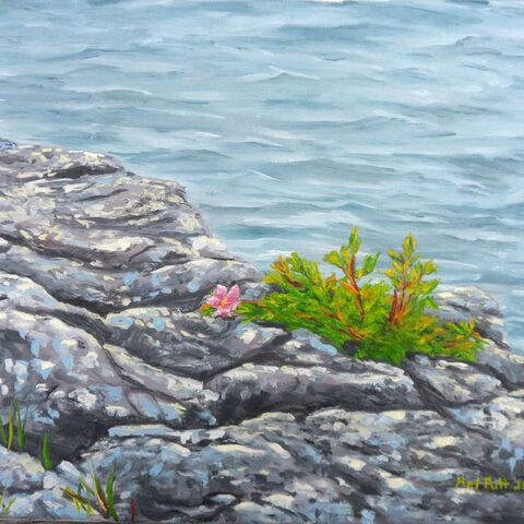 "Wild Rose"
11 in. by 14 in.
Oil on canvas
CAD$300